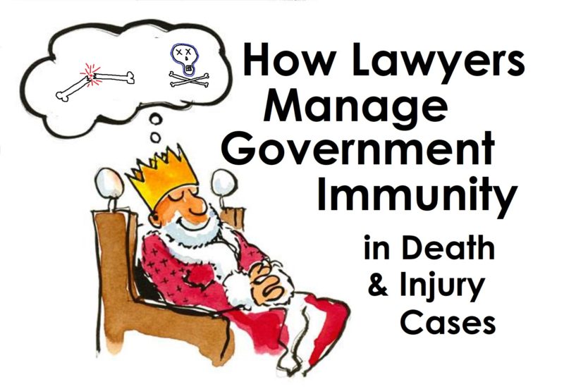 how-lawyers-manage-governmental-immunity-in-wrongful-death-personal